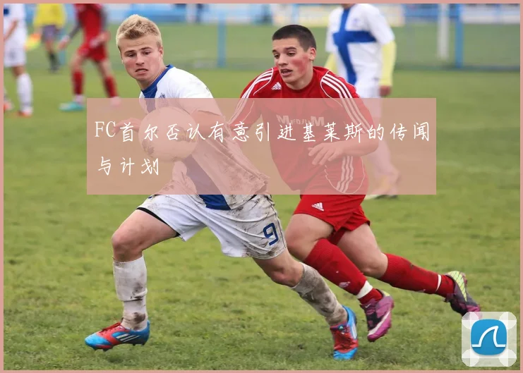 FC首尔否认有意引进基莱斯的传闻与计划