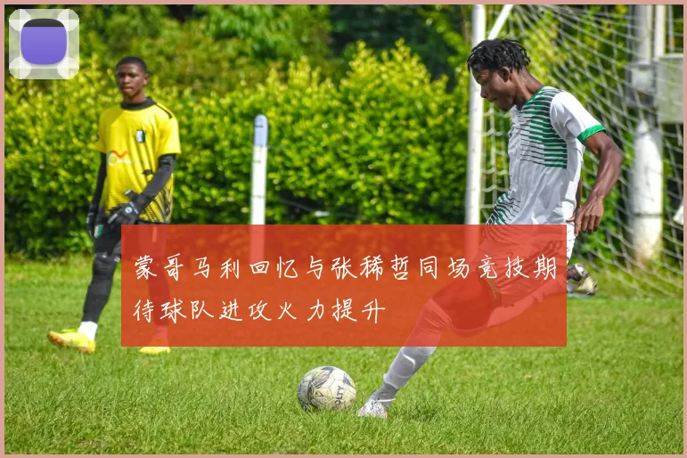 蒙哥马利回忆与张稀哲同场竞技期待球队进攻火力提升