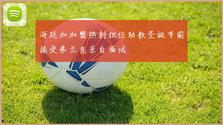 海廷加加盟热刺担任助教圣诞节前接受弗兰克亲自面试