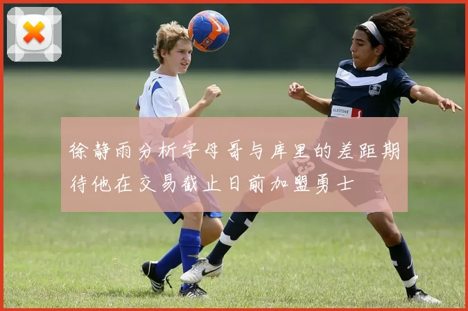 徐静雨分析字母哥与库里的差距期待他在交易截止日前加盟勇士